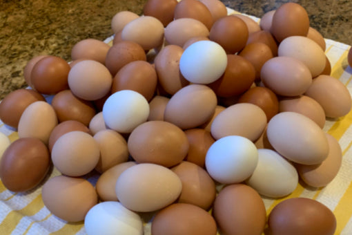 Farm Fresh Eggs- 1 dozen (Sat. Farm Pickup Only)